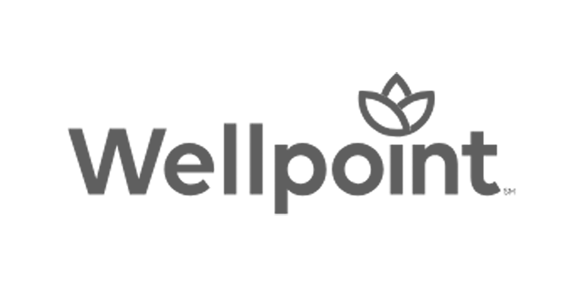 Gray branding logo of Wellpoint featuring stylized text and a leaf motif above the double 'l'.